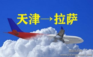 天津?yàn)I海機(jī)場(chǎng)空運(yùn)到西藏拉薩_飛機(jī)托運(yùn)