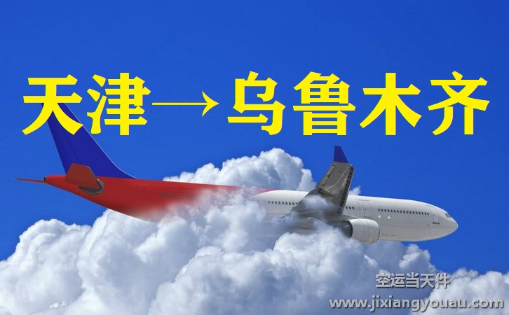 天津?yàn)I海到烏魯木齊地窩堡機(jī)場(chǎng)空運(yùn)